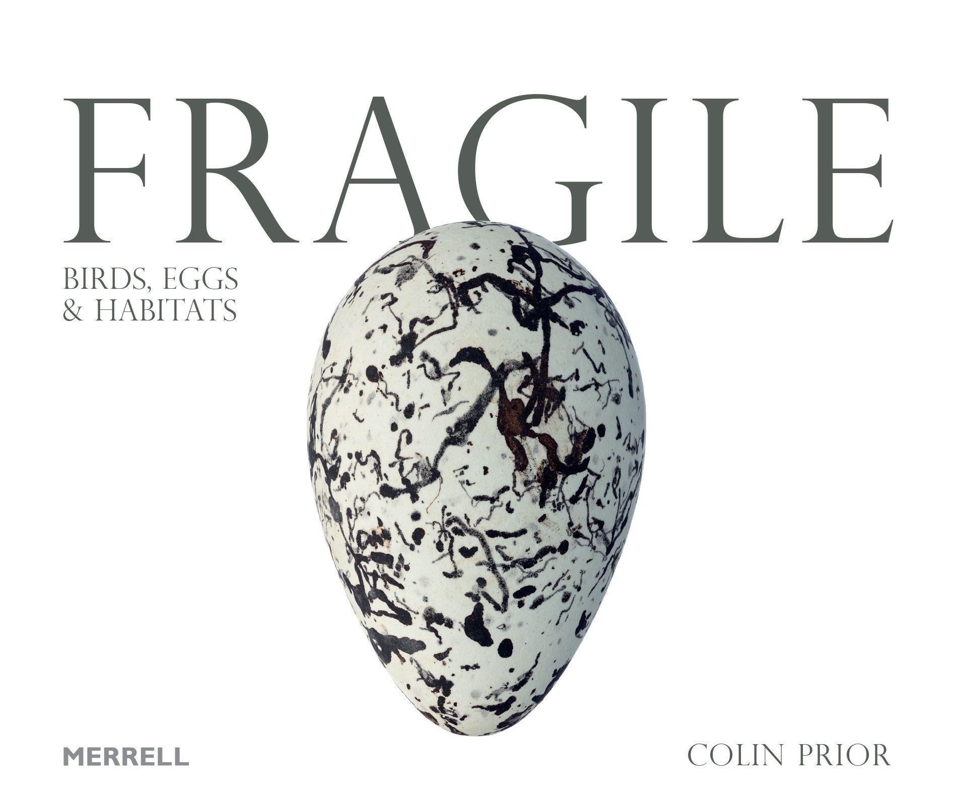 Vorderes Coverbild Fragile: Birds, Eggs and Habitats