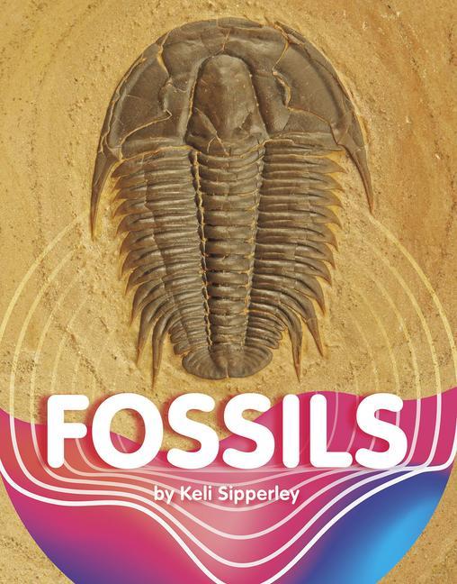 Vorderes Coverbild Fossils