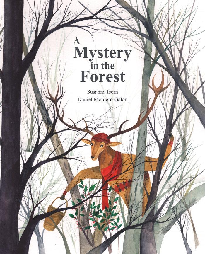 Vorderes Coverbild A Mystery in the Forest