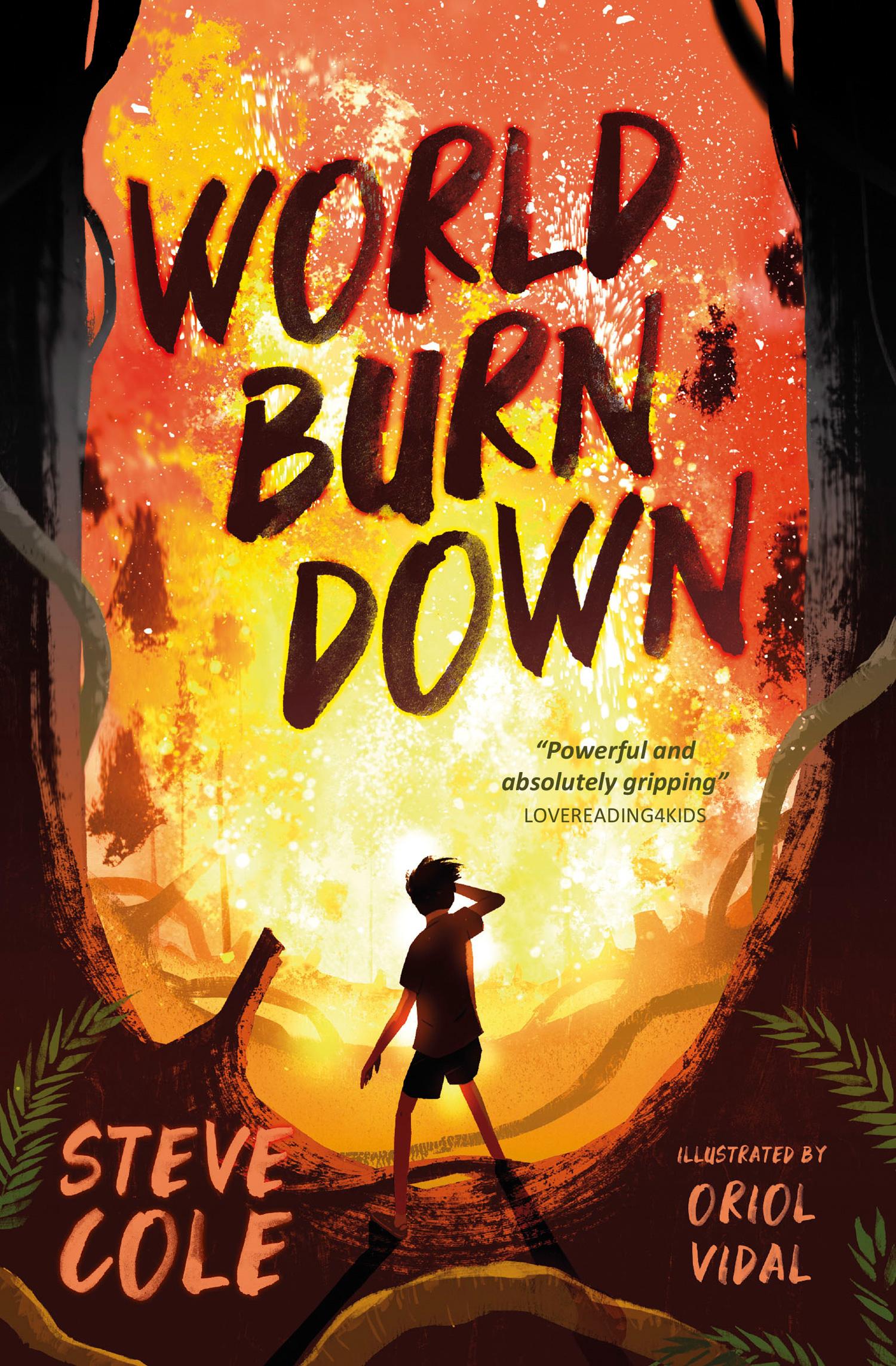 Vorderes Coverbild World Burn Down