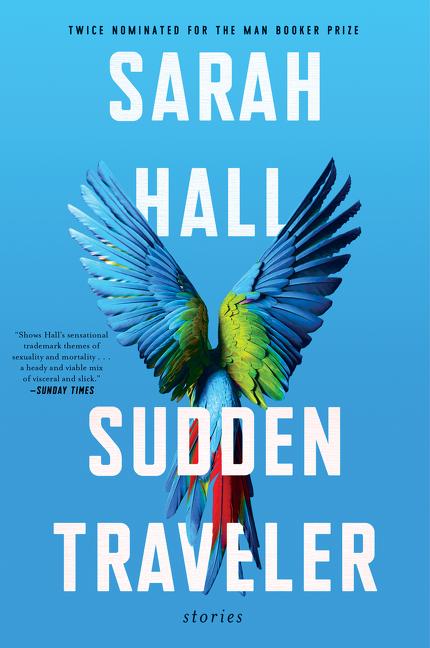 Vorderes Coverbild Sudden Traveler