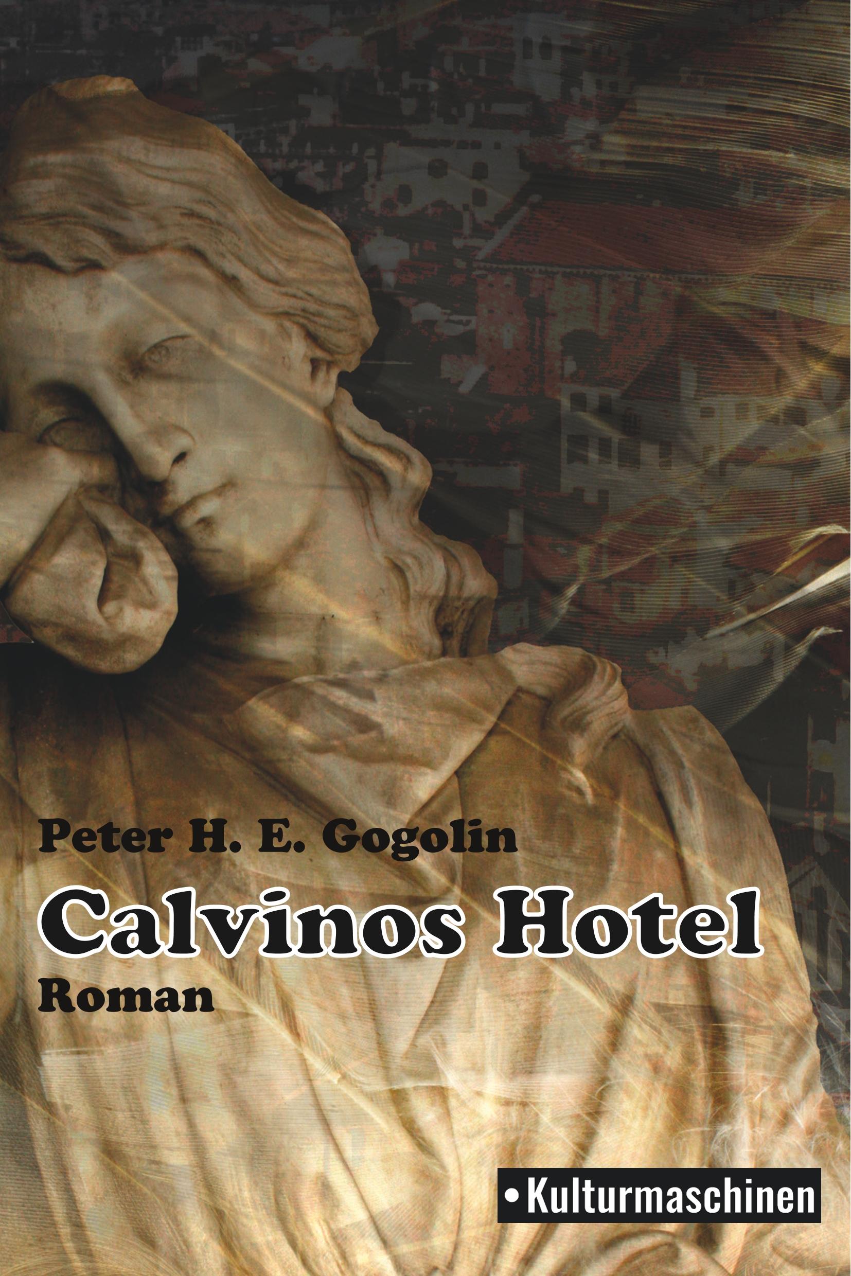Vorderes Coverbild Calvinos Hotel