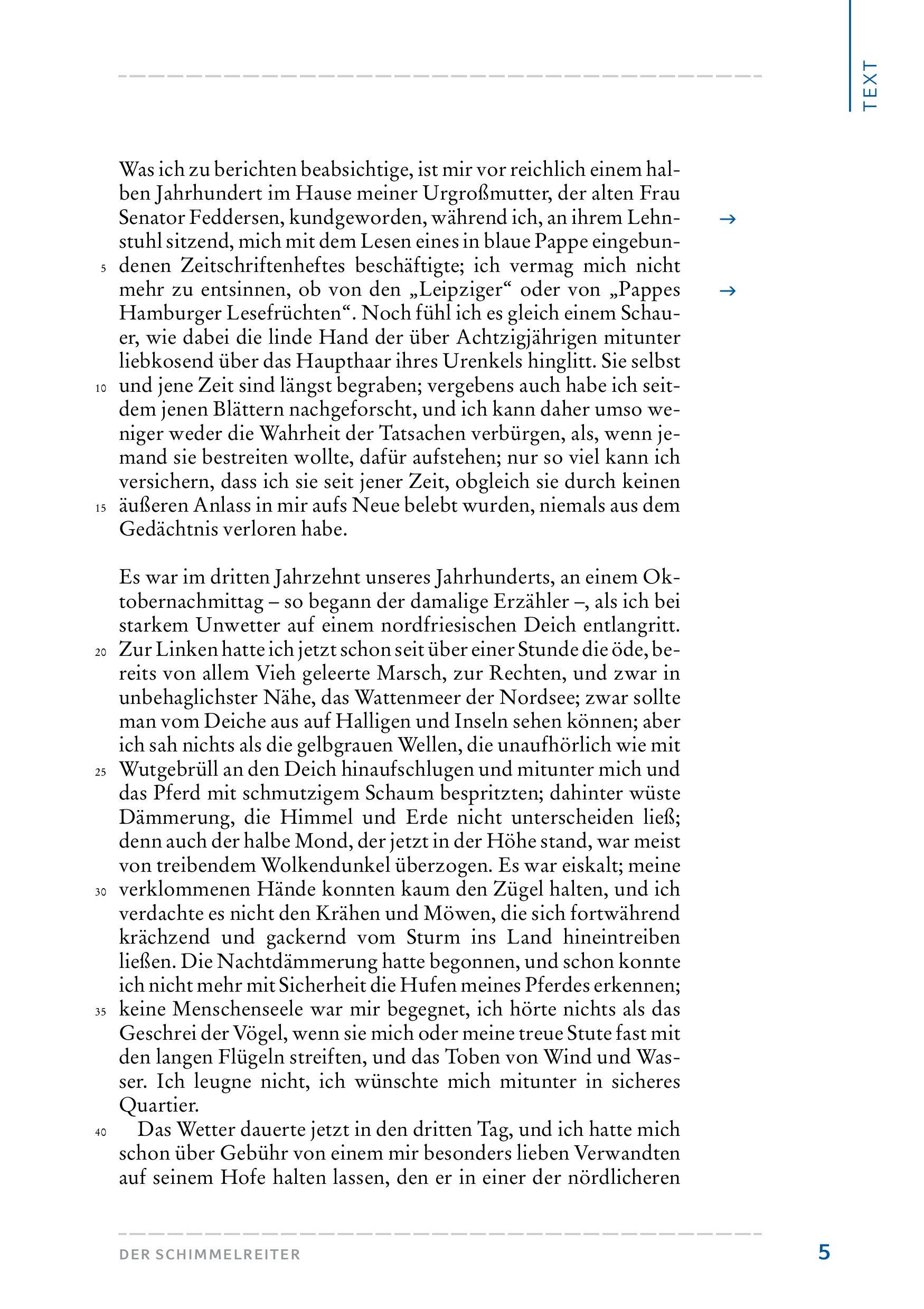 Beispielinhalt (Bild) Der Schimmelreiter. Hamburger Leseheft plus Königs Materialien