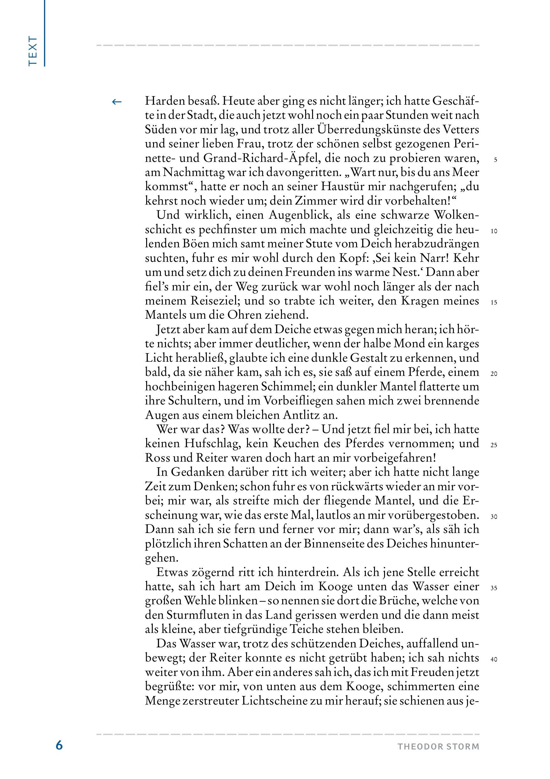 Beispielinhalt (Bild) Der Schimmelreiter. Hamburger Leseheft plus Königs Materialien