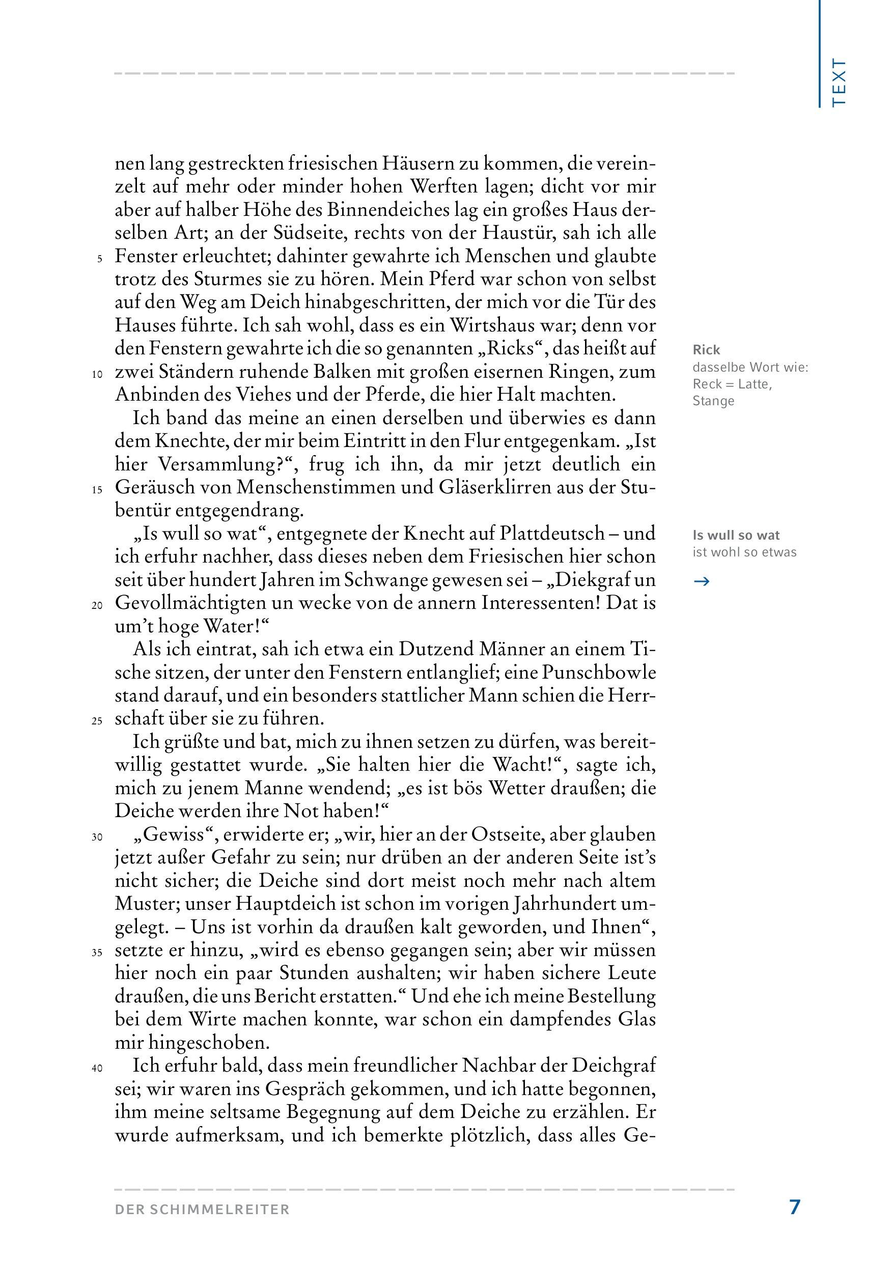 Beispielinhalt (Bild) Der Schimmelreiter. Hamburger Leseheft plus Königs Materialien