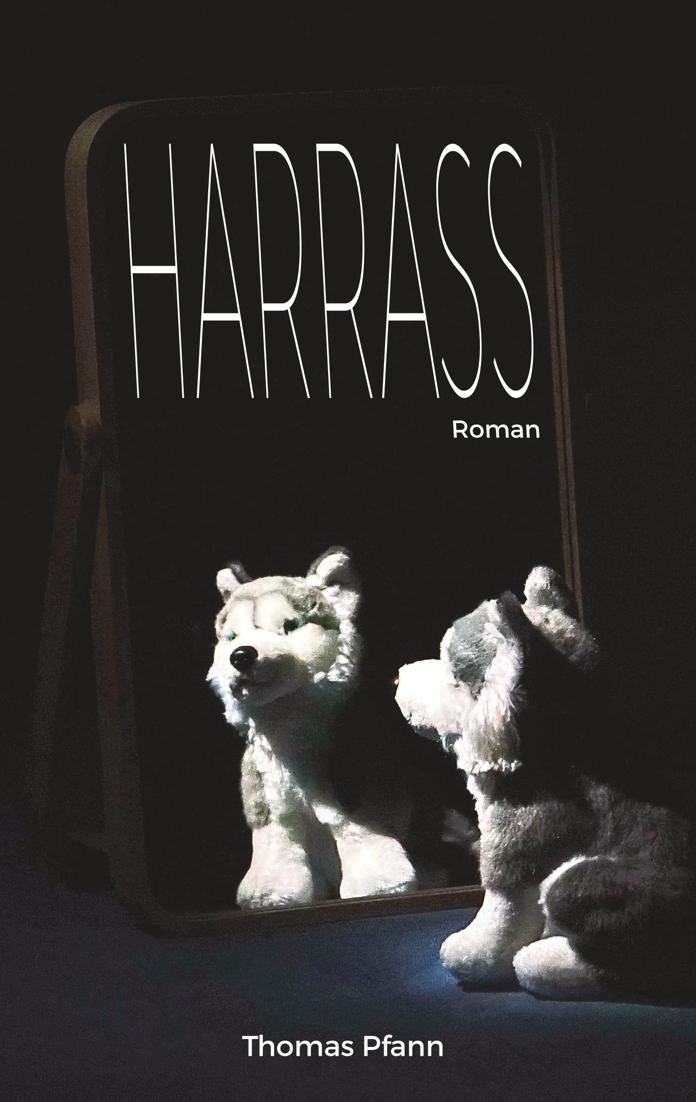 Vorderes Coverbild Harrass
