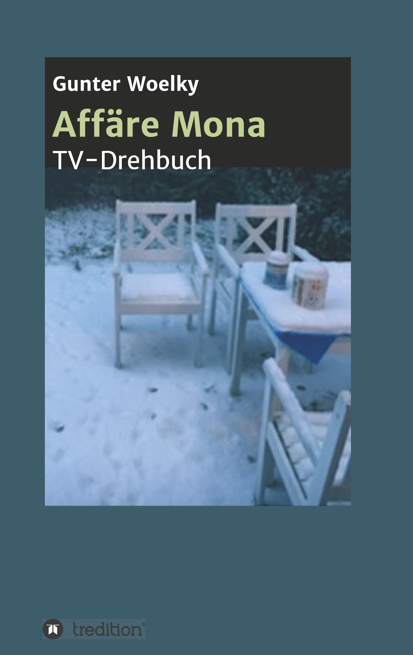 Vorderes Coverbild Affäre Mona
