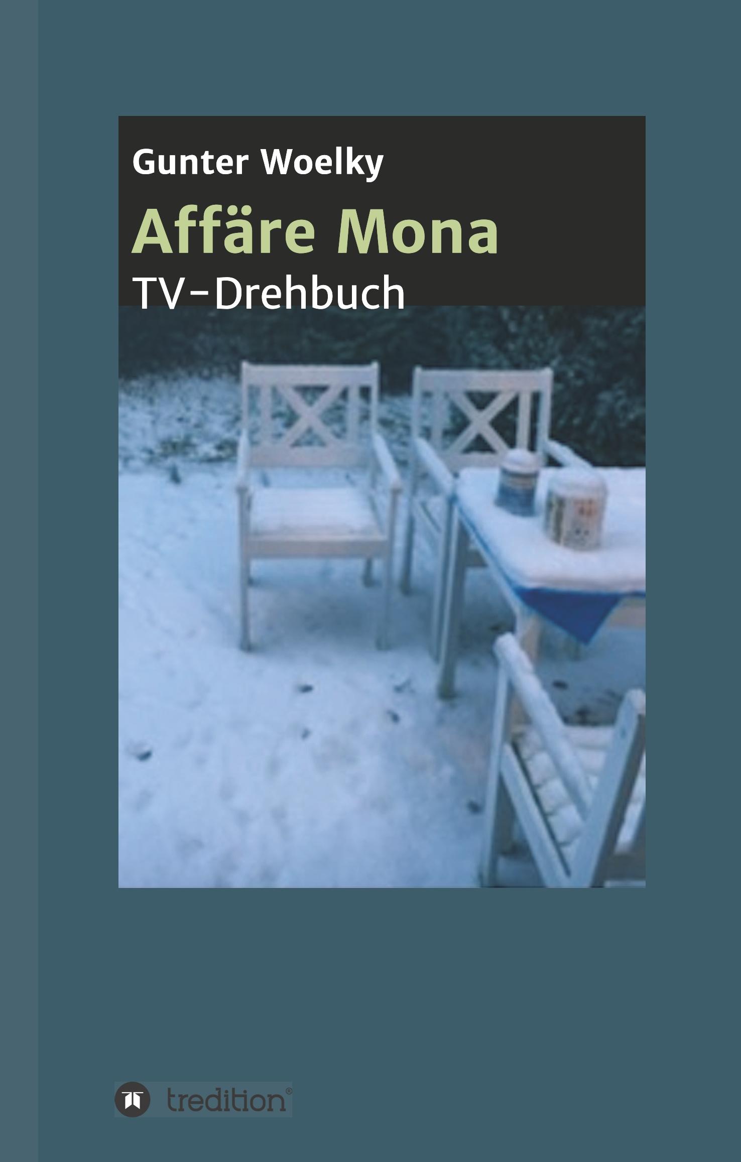 Vorderes Coverbild Affäre Mona