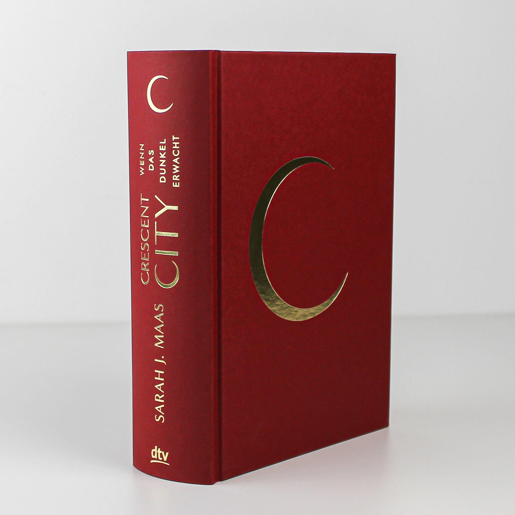 Beispielinhalt (Bild) Crescent City 01 - Wenn das Dunkel erwacht