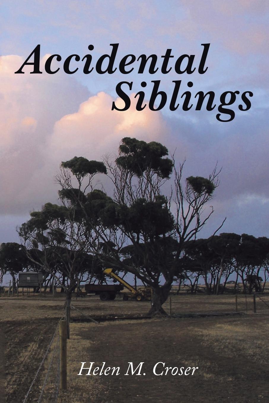Vorderes Coverbild Accidental Siblings