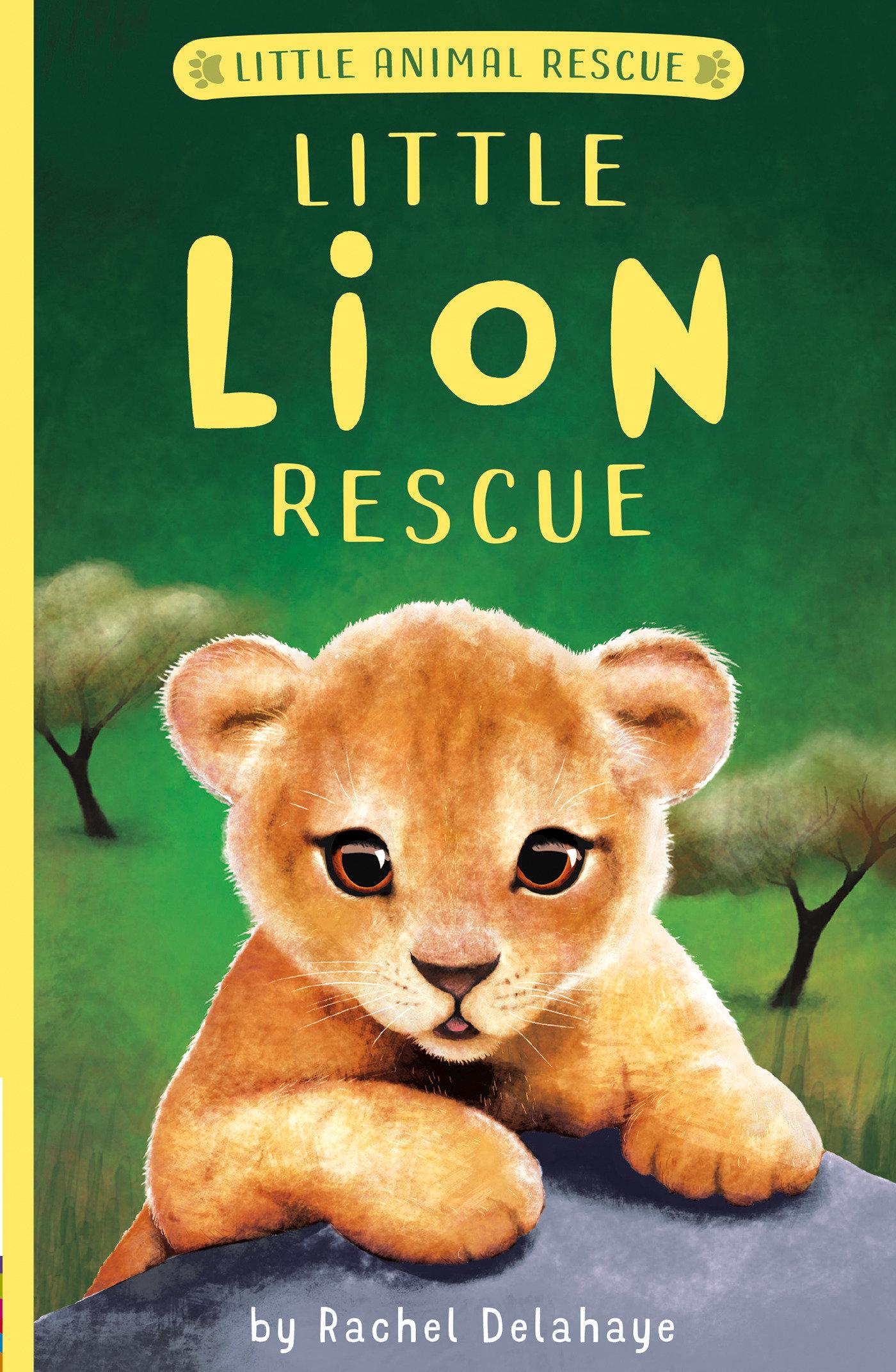 Vorderes Coverbild Little Lion Rescue