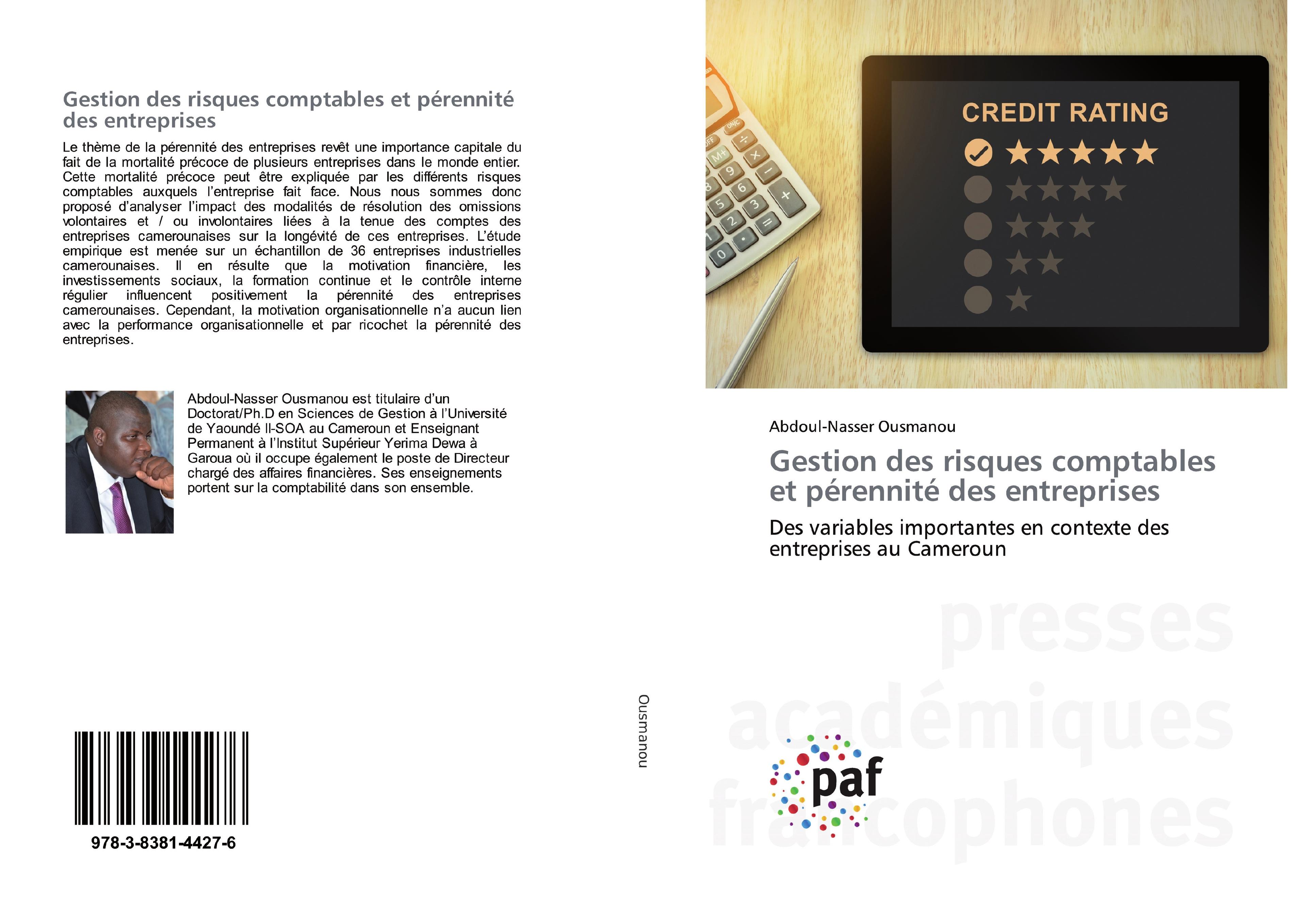 Vorderes Coverbild Gestion des risques comptables et pérennité des entreprises