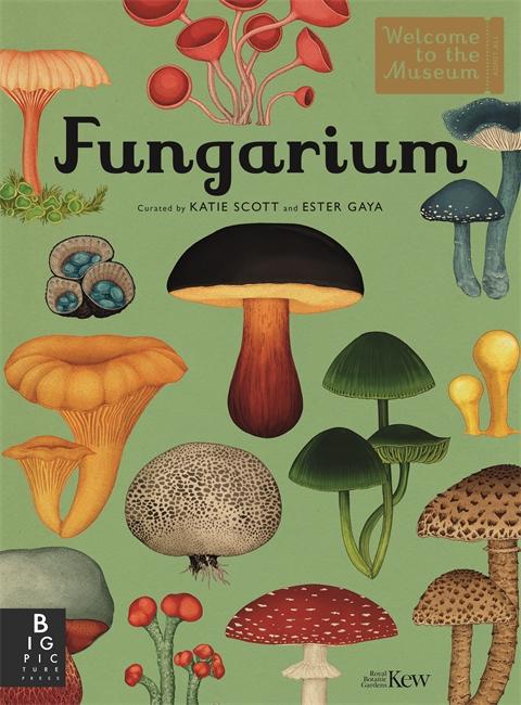 Vorderes Coverbild Fungarium