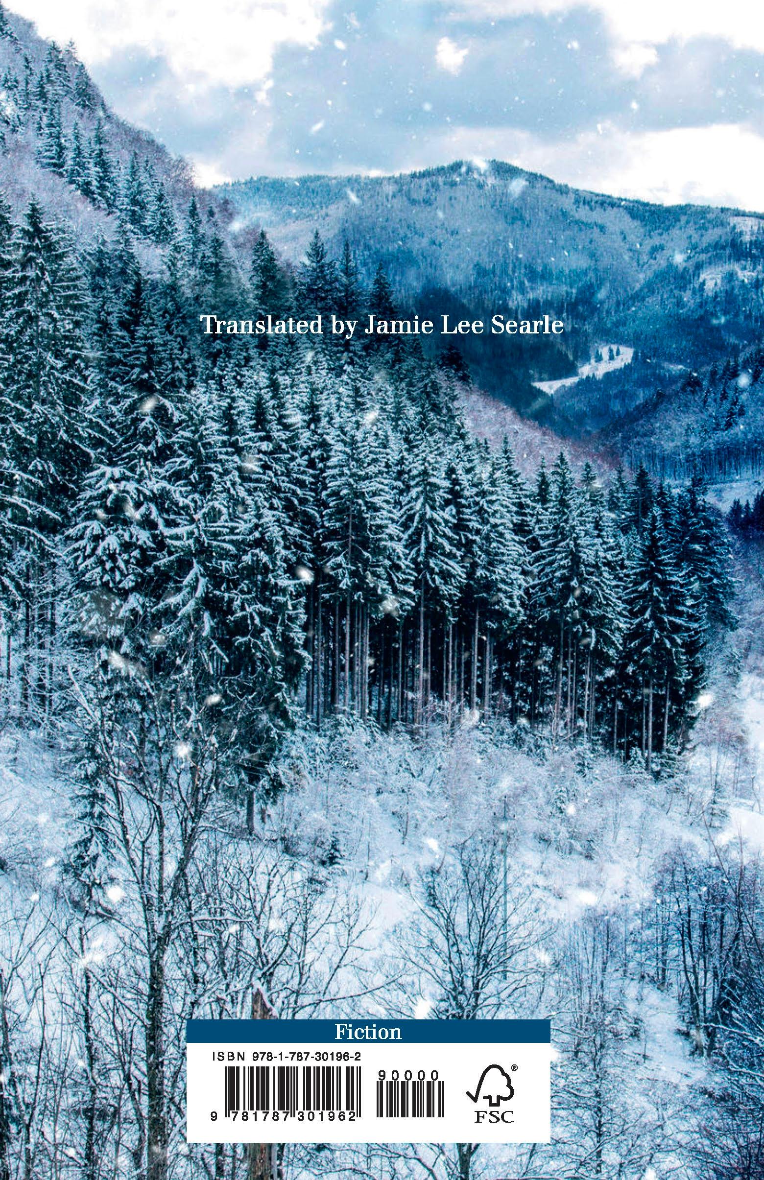 Rückseitencover Twelve Nights