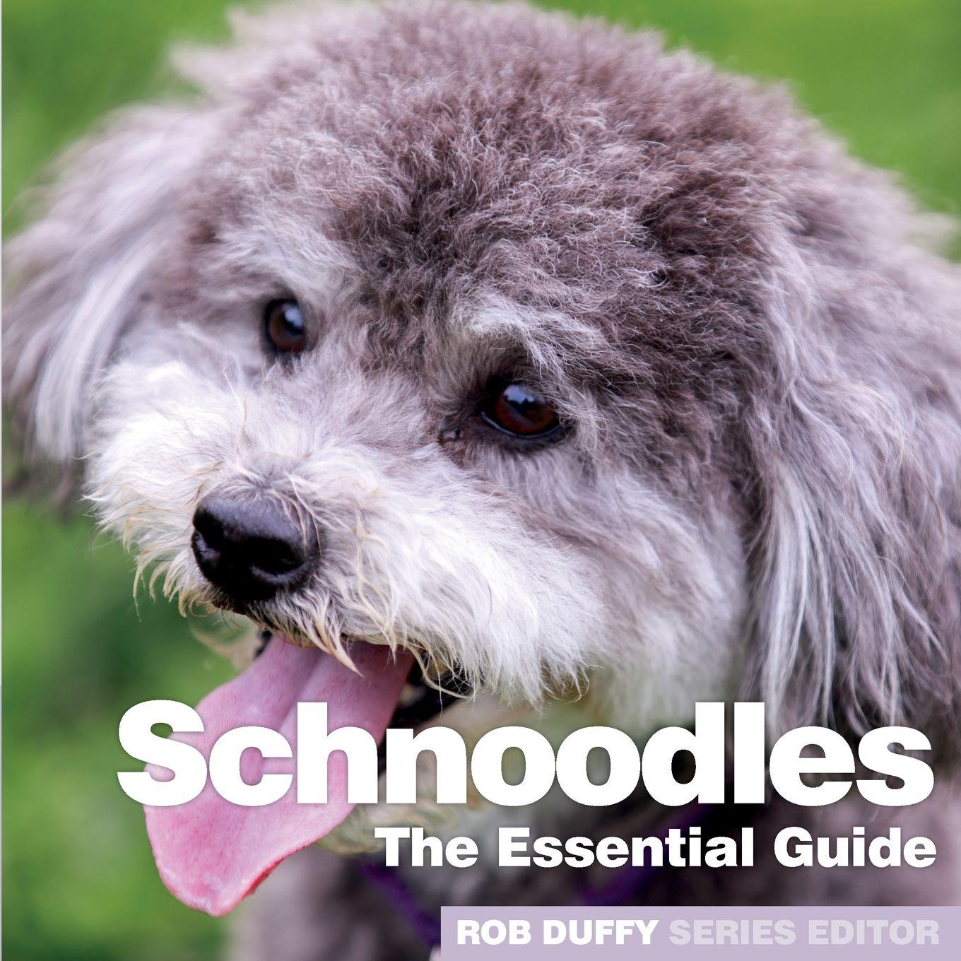Vorderes Coverbild Schnoodles