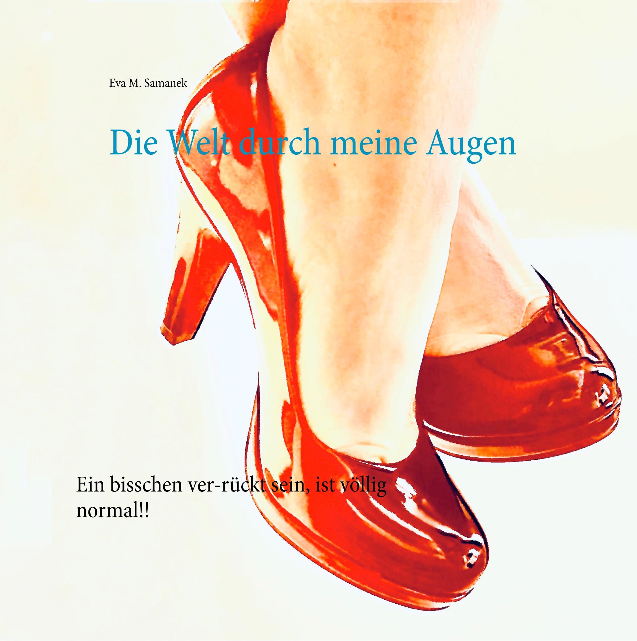 Vorderes Coverbild Die Welt durch meine Augen