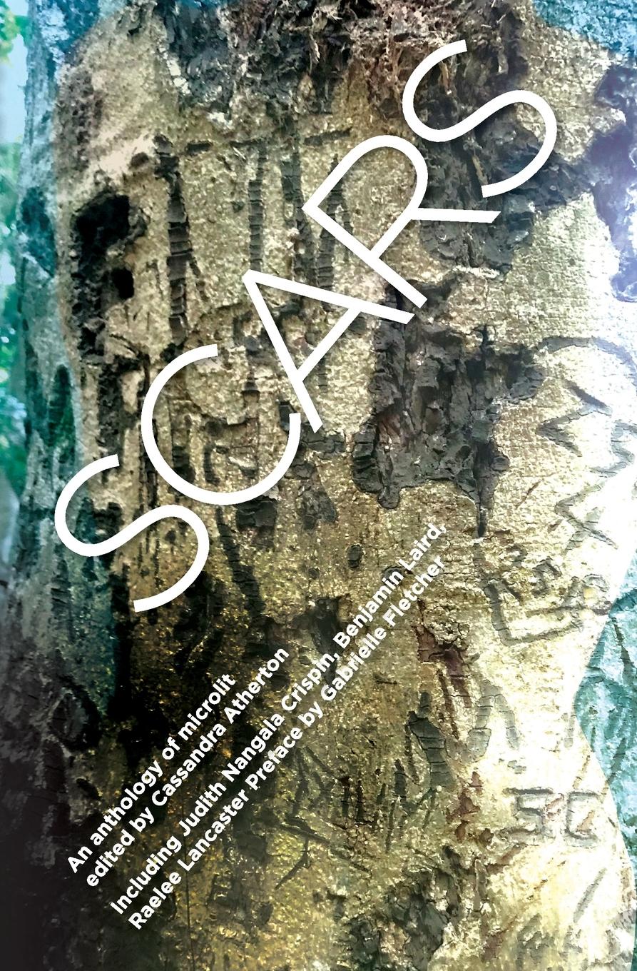 Vorderes Coverbild Scars