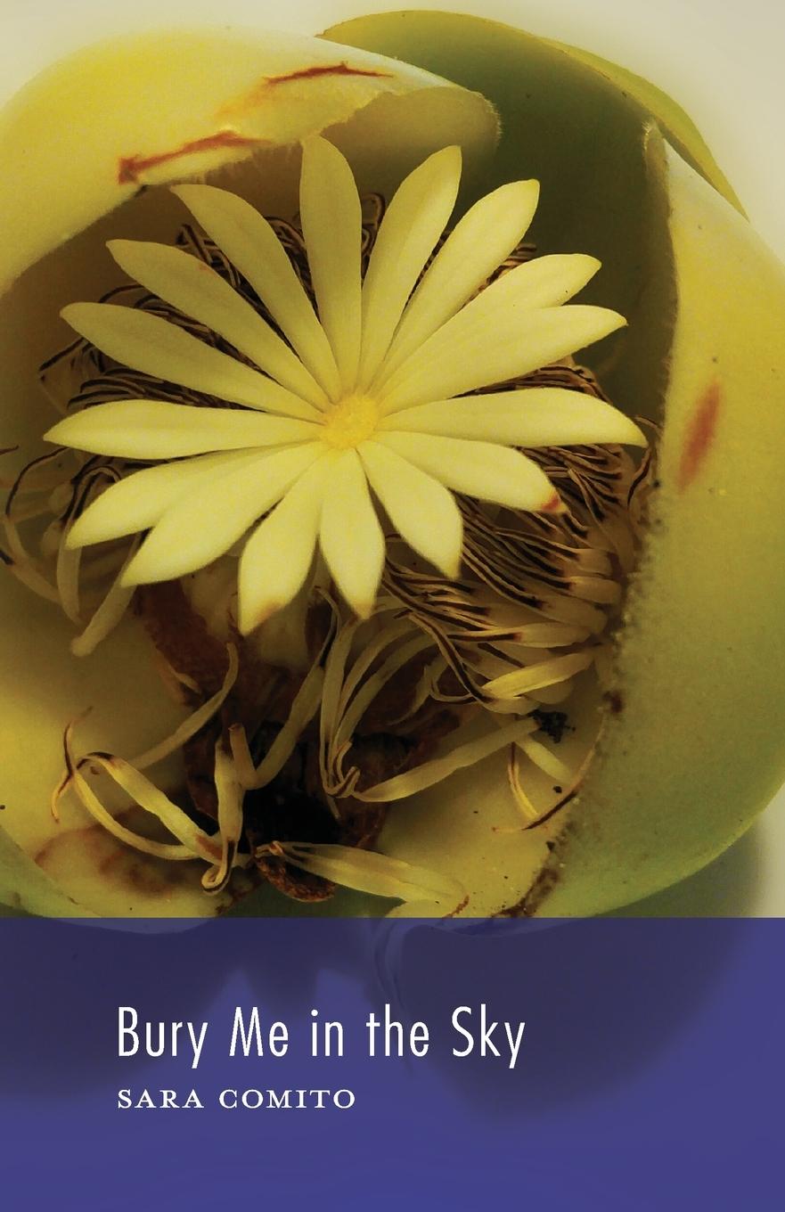 Vorderes Coverbild Bury Me in the Sky