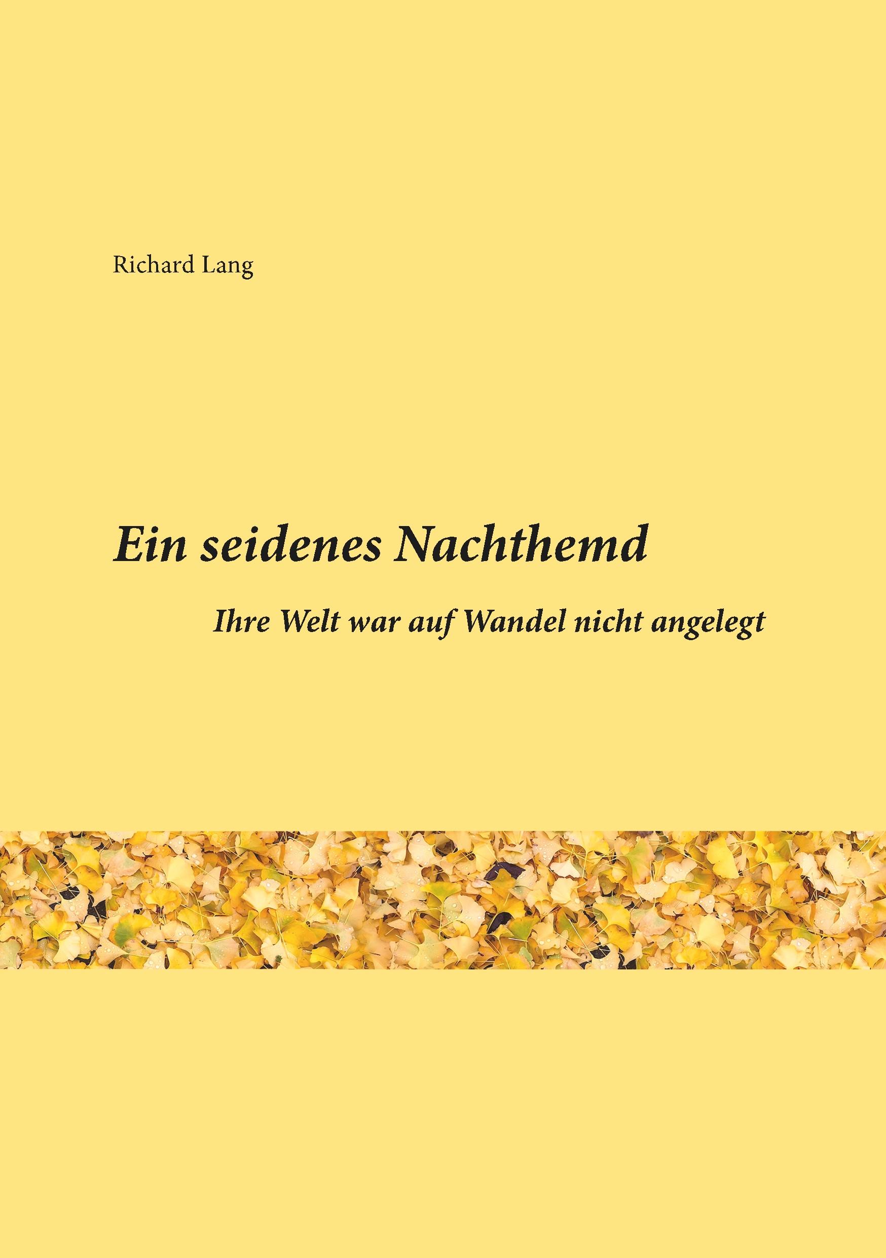 Vorderes Coverbild Ein seidenes Nachthemd
