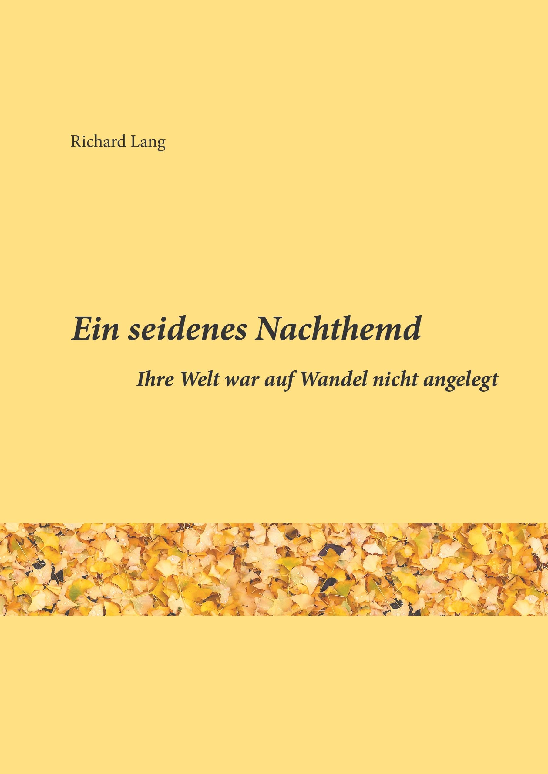 Vorderes Coverbild Ein seidenes Nachthemd