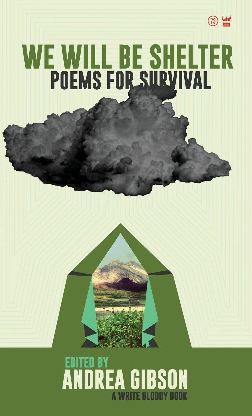 Vorderes Coverbild We Will Be Shelter