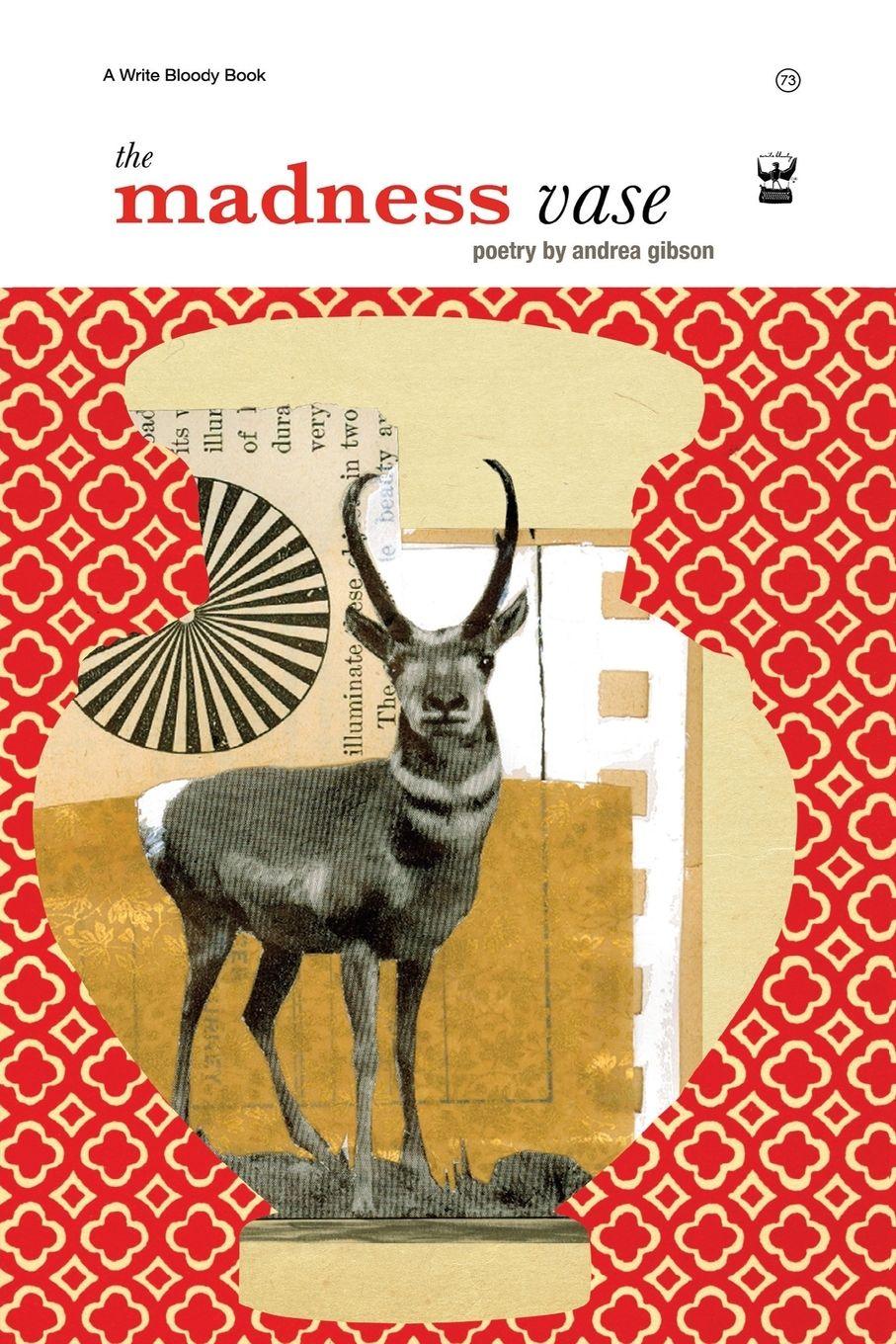 Vorderes Coverbild The Madness Vase