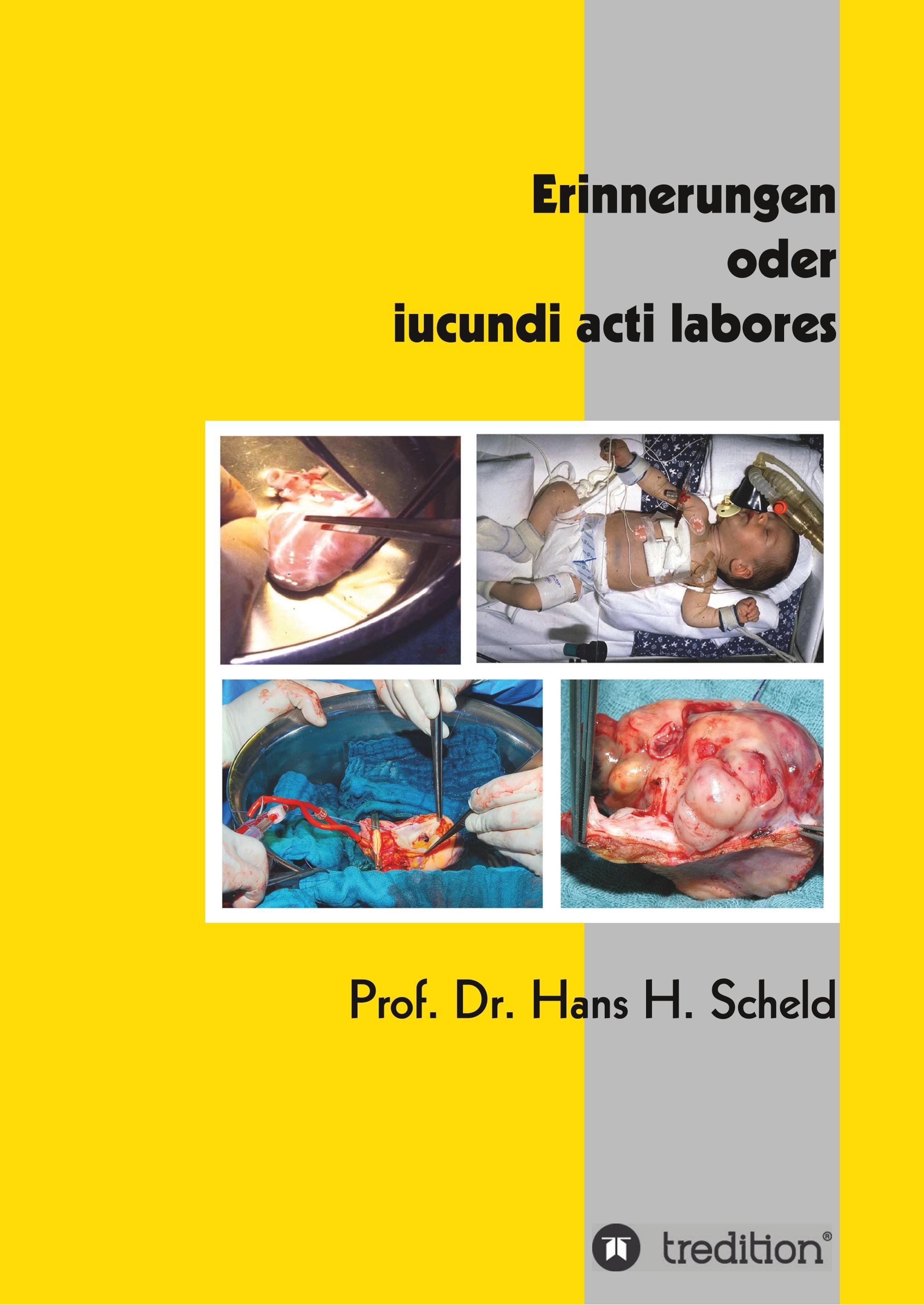 Vorderes Coverbild Erinnerungen  oder iucundi acti labores