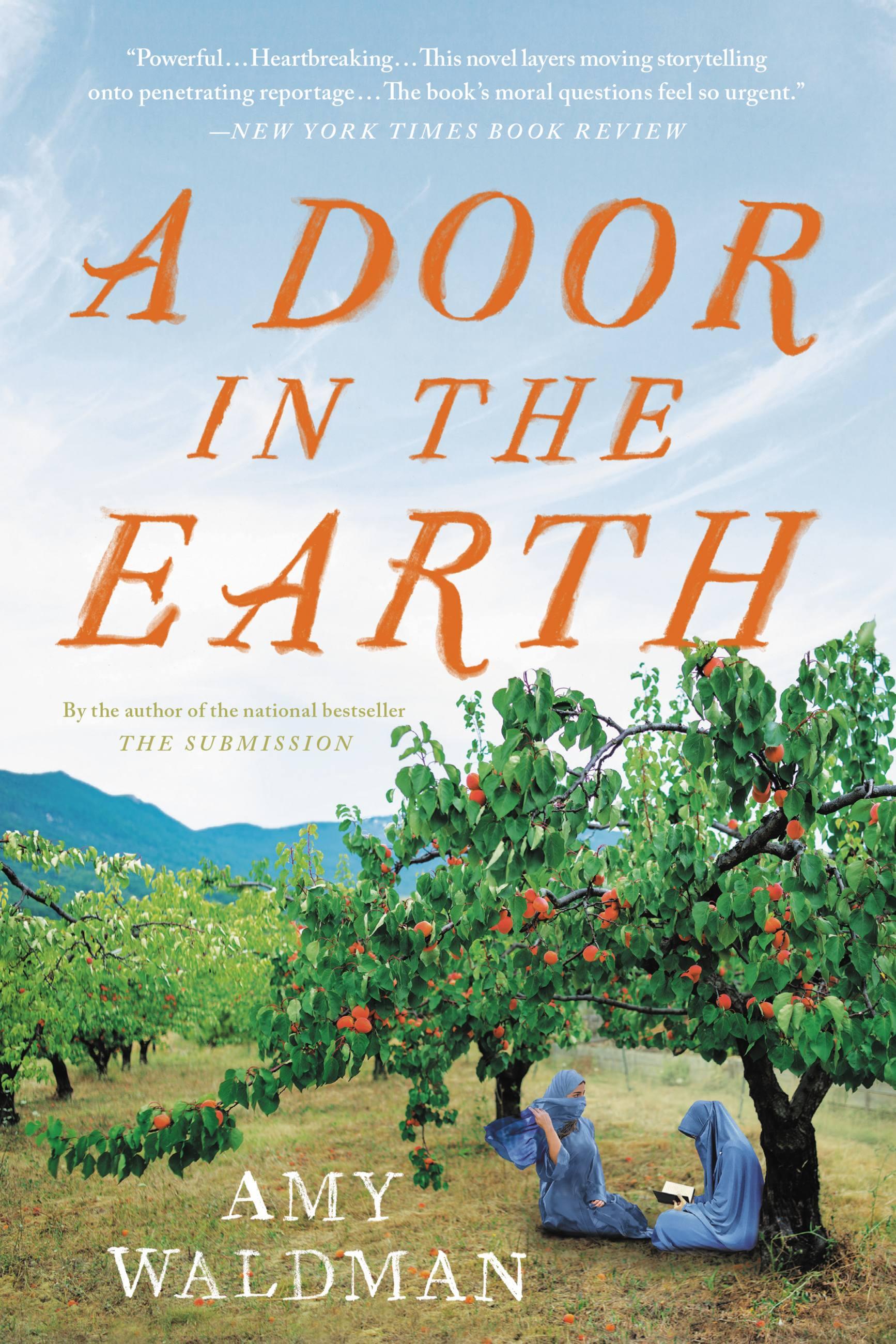 Vorderes Coverbild A Door in the Earth
