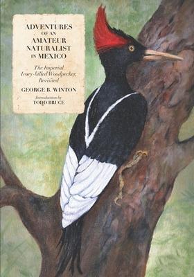 Vorderes Coverbild Adventures of an Amateur Naturalist in Mexico: The Imperial Ivory-billed Woodpecker, Revisited
