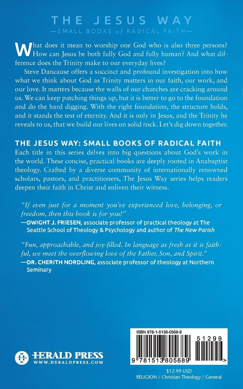 Rückseitencover What Is the Trinity and Why Does It Matter?