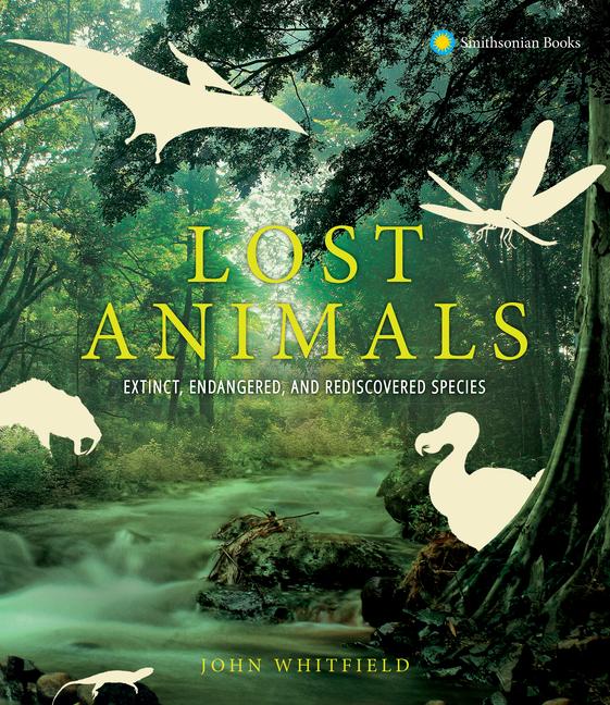 Vorderes Coverbild Lost Animals