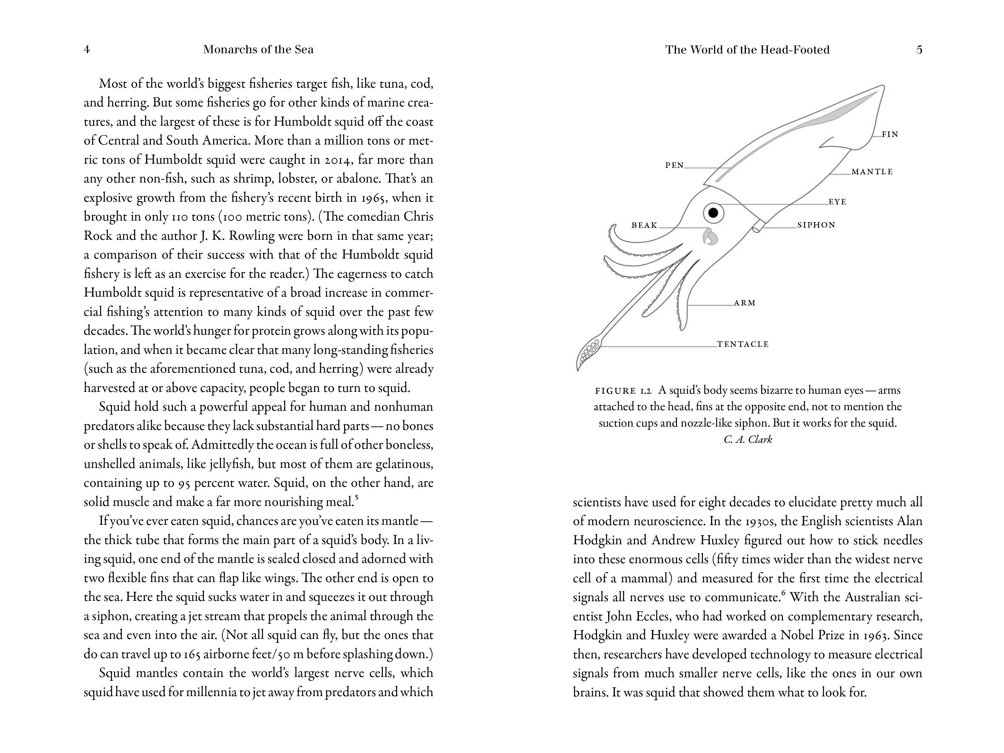 Beispielinhalt (Bild) Monarchs of the Sea