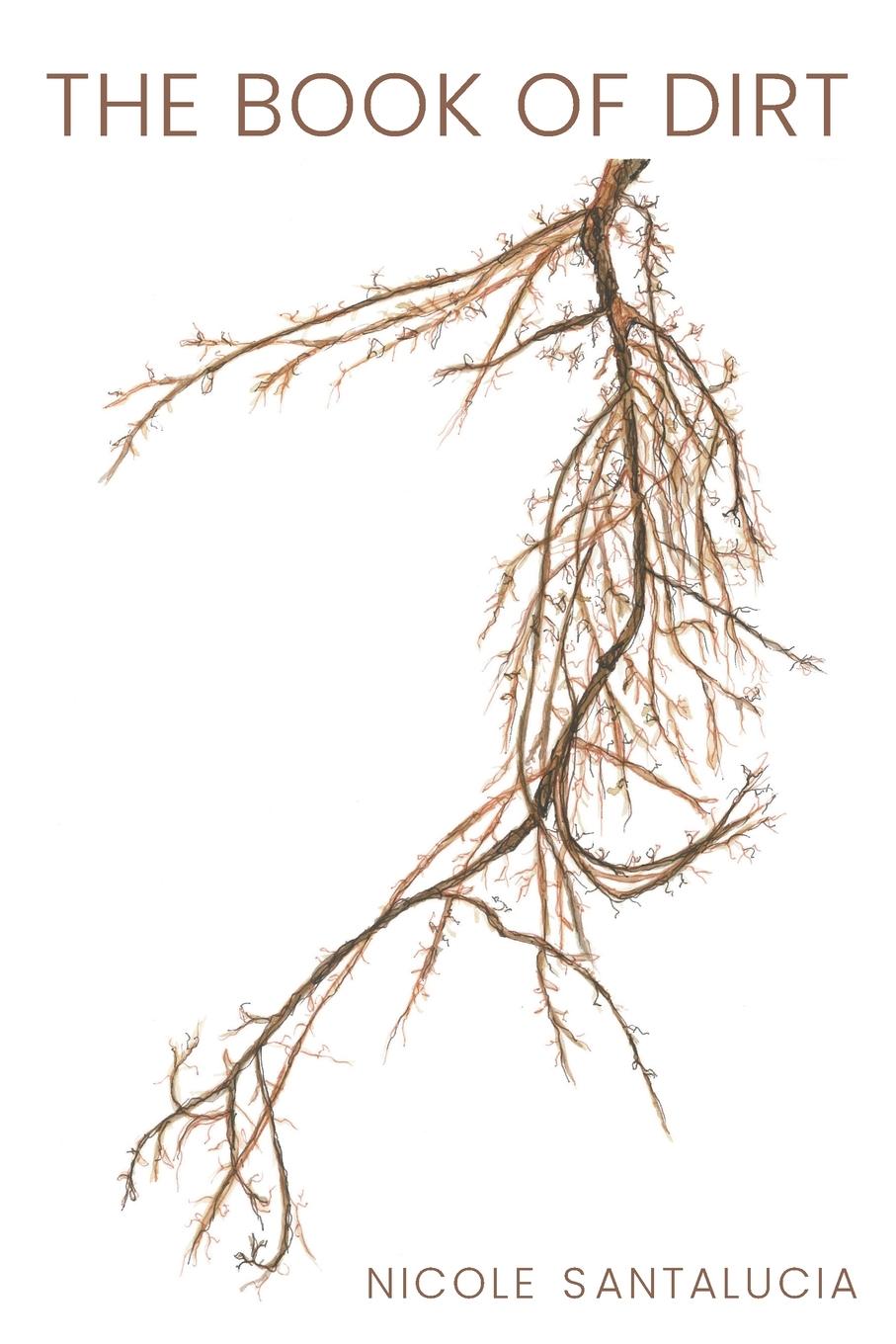 Vorderes Coverbild The Book of Dirt