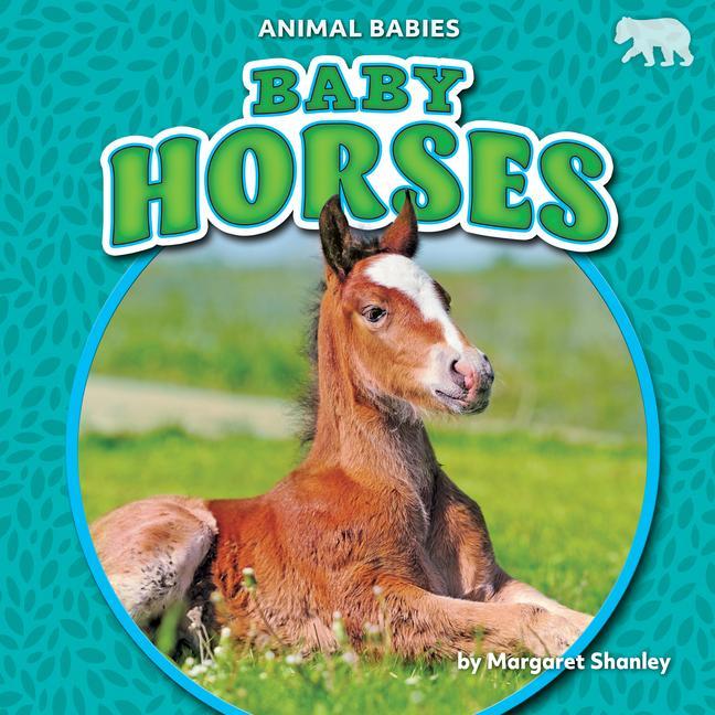 Vorderes Coverbild Baby Horses