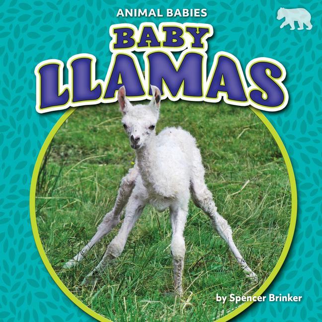 Vorderes Coverbild Baby Llamas