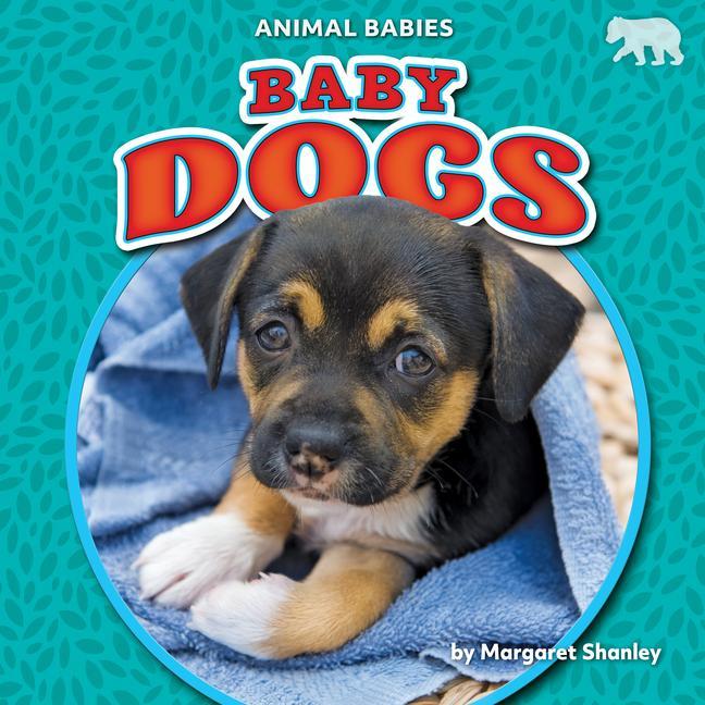 Vorderes Coverbild Baby Dogs
