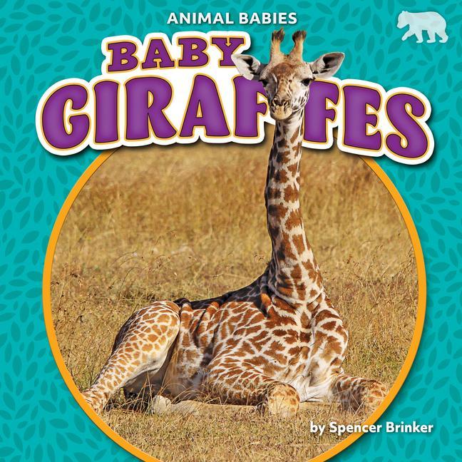 Vorderes Coverbild Baby Giraffes