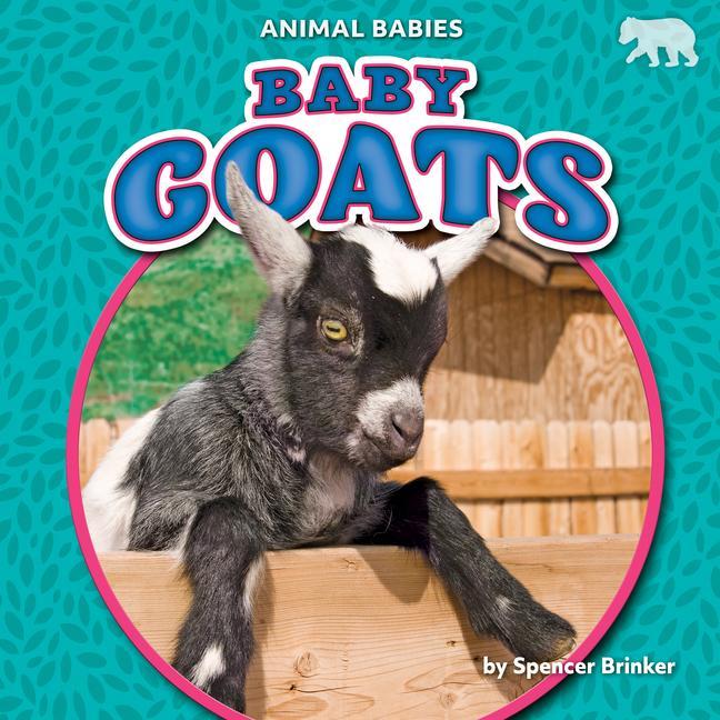 Vorderes Coverbild Baby Goats