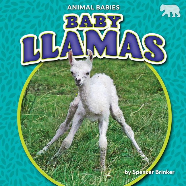 Vorderes Coverbild Baby Llamas