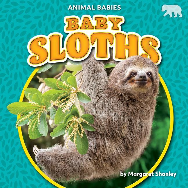 Vorderes Coverbild Baby Sloths