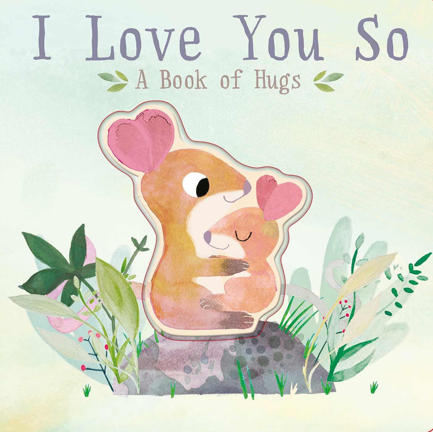 Vorderes Coverbild I Love You So: A Book of Hugs