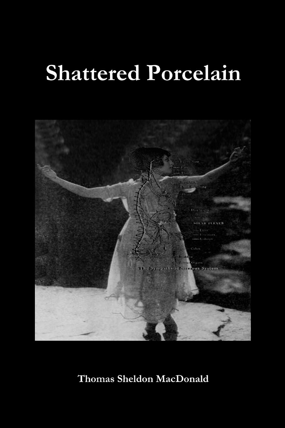 Vorderes Coverbild Shattered Porcelain