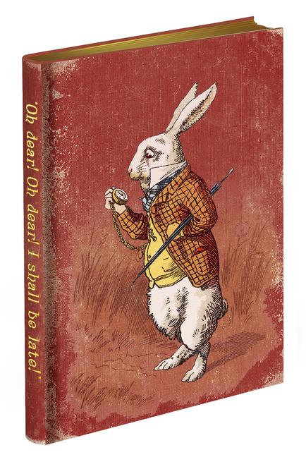 Vorderes Coverbild Too Late, Said the Rabbit