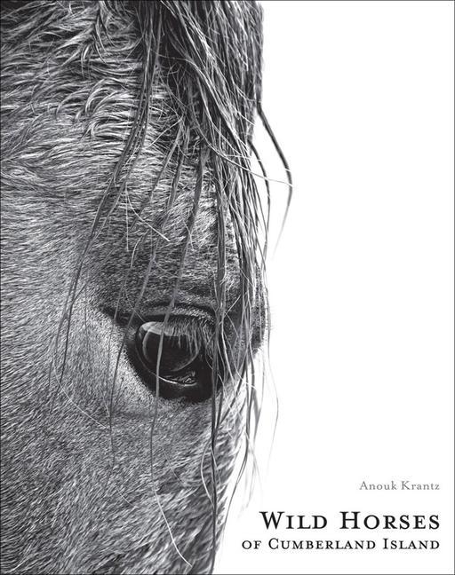 Vorderes Coverbild Wild Horses of Cumberland Island