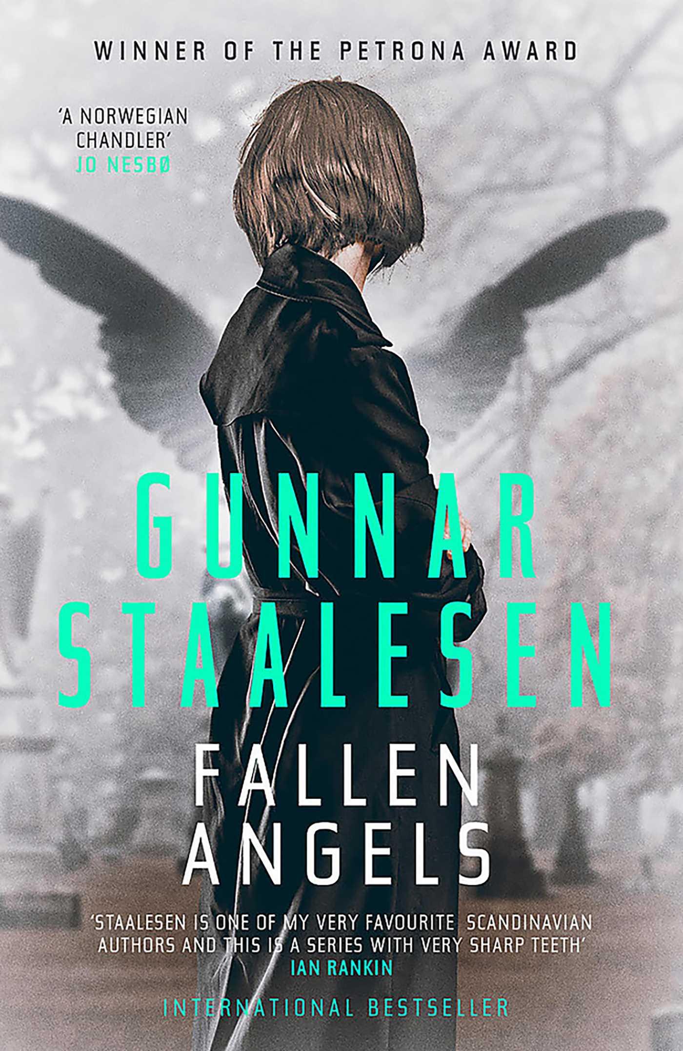 Vorderes Coverbild Fallen Angels