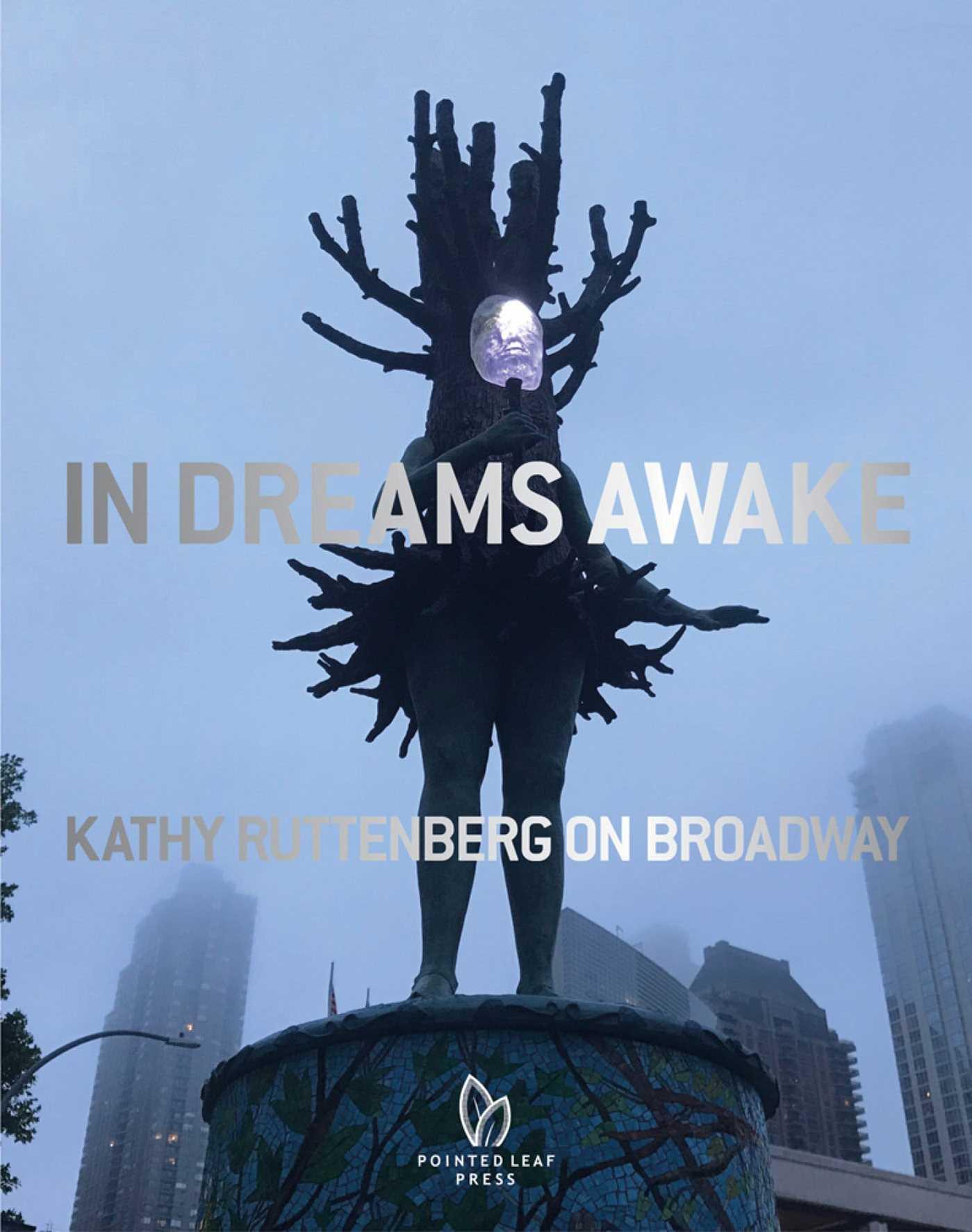 Vorderes Coverbild In Dreams Awake