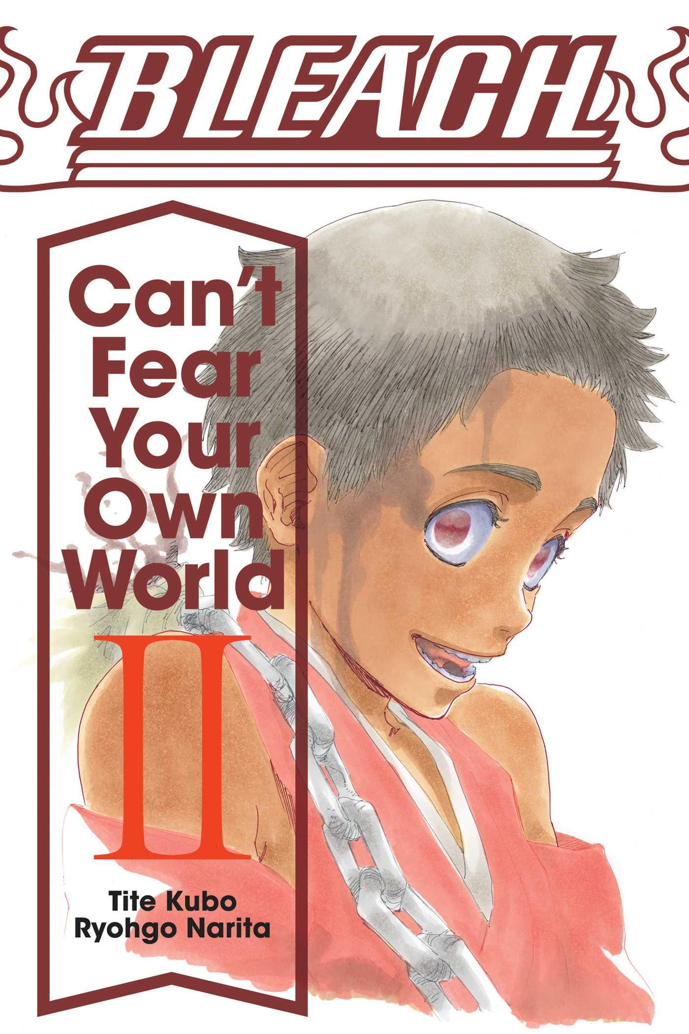 Vorderes Coverbild Bleach: Can't Fear Your Own World, Vol. 2