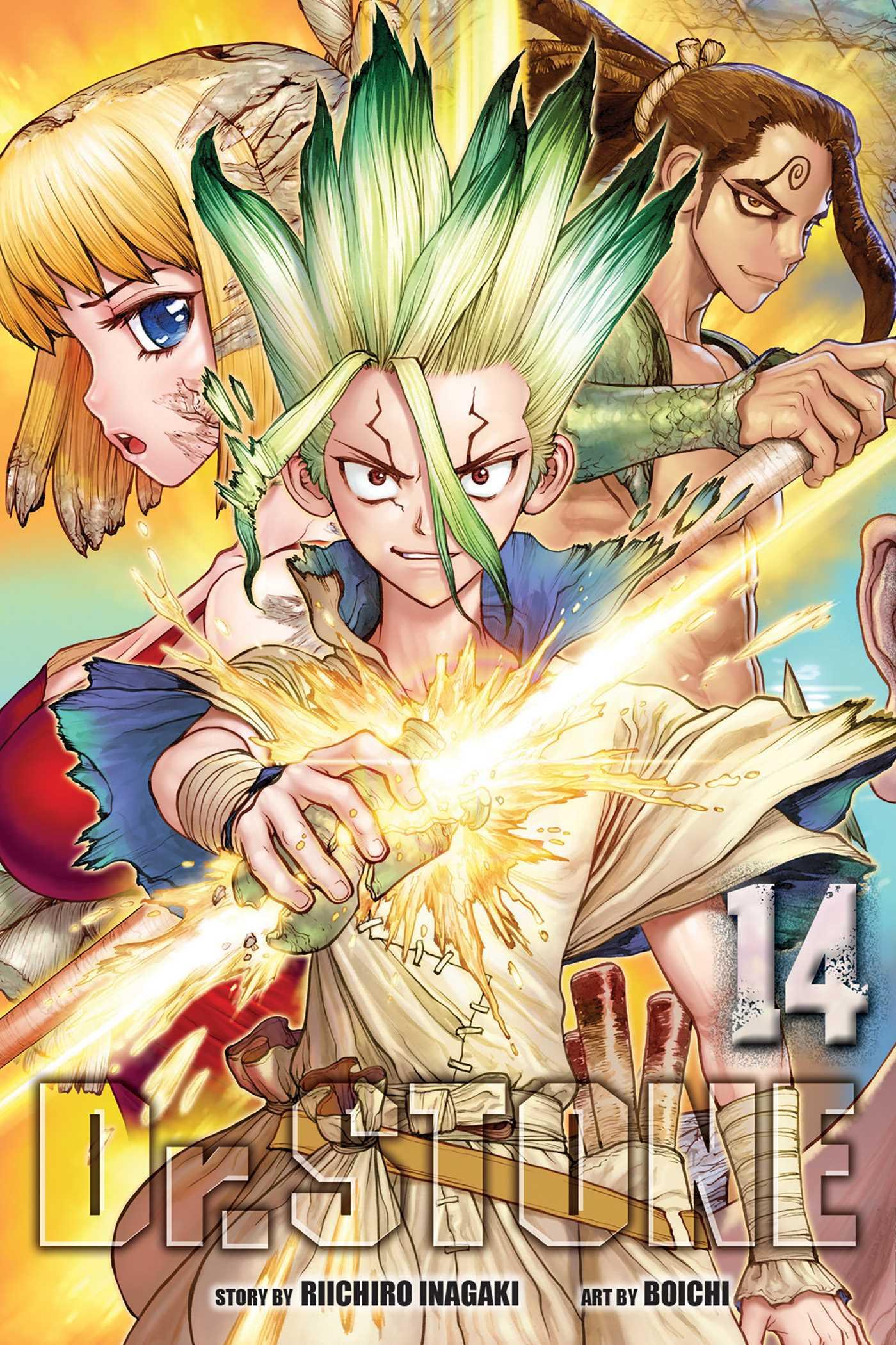 Vorderes Coverbild Dr. Stone, Vol. 14