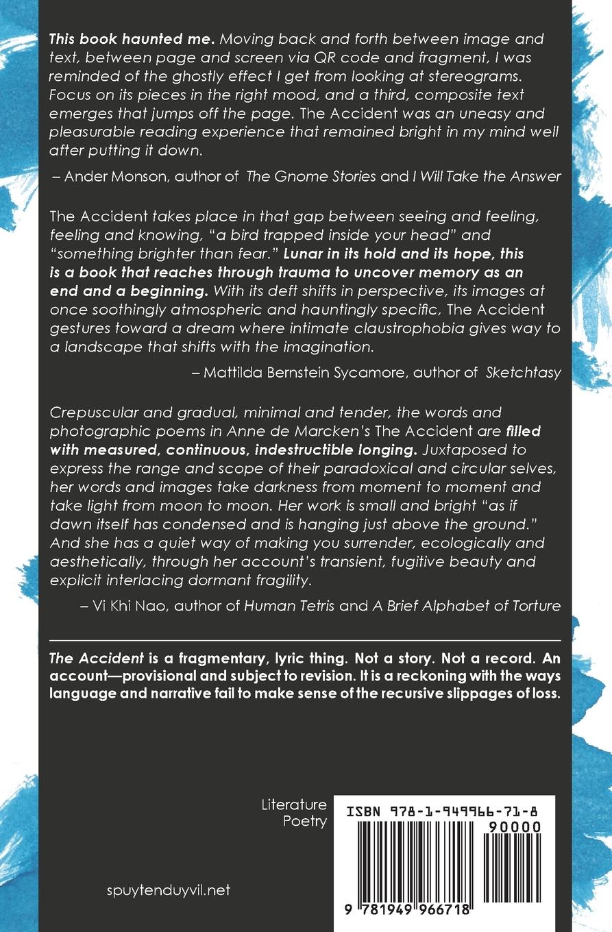 Rückseitencover The Accident