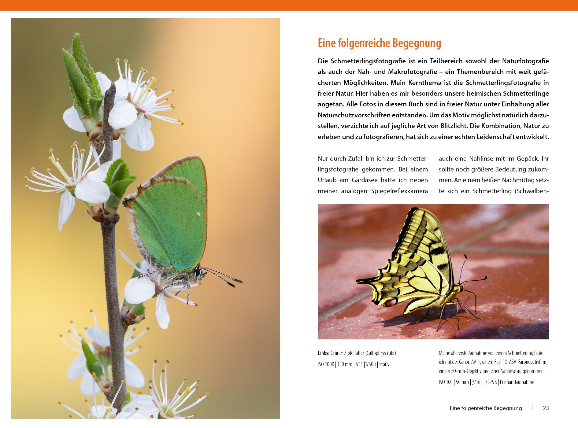 Beispielinhalt (Bild) Schmetterlinge - so gelingen faszinierende Fotos